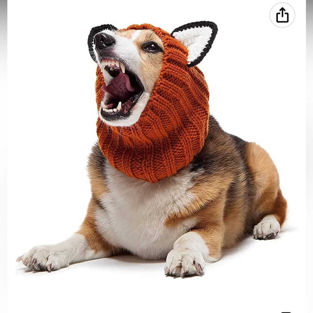 Fox Pet head cover.